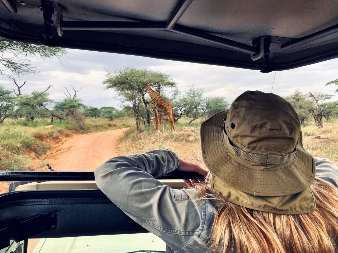 Unterwegs auf Safari im Geländewagen