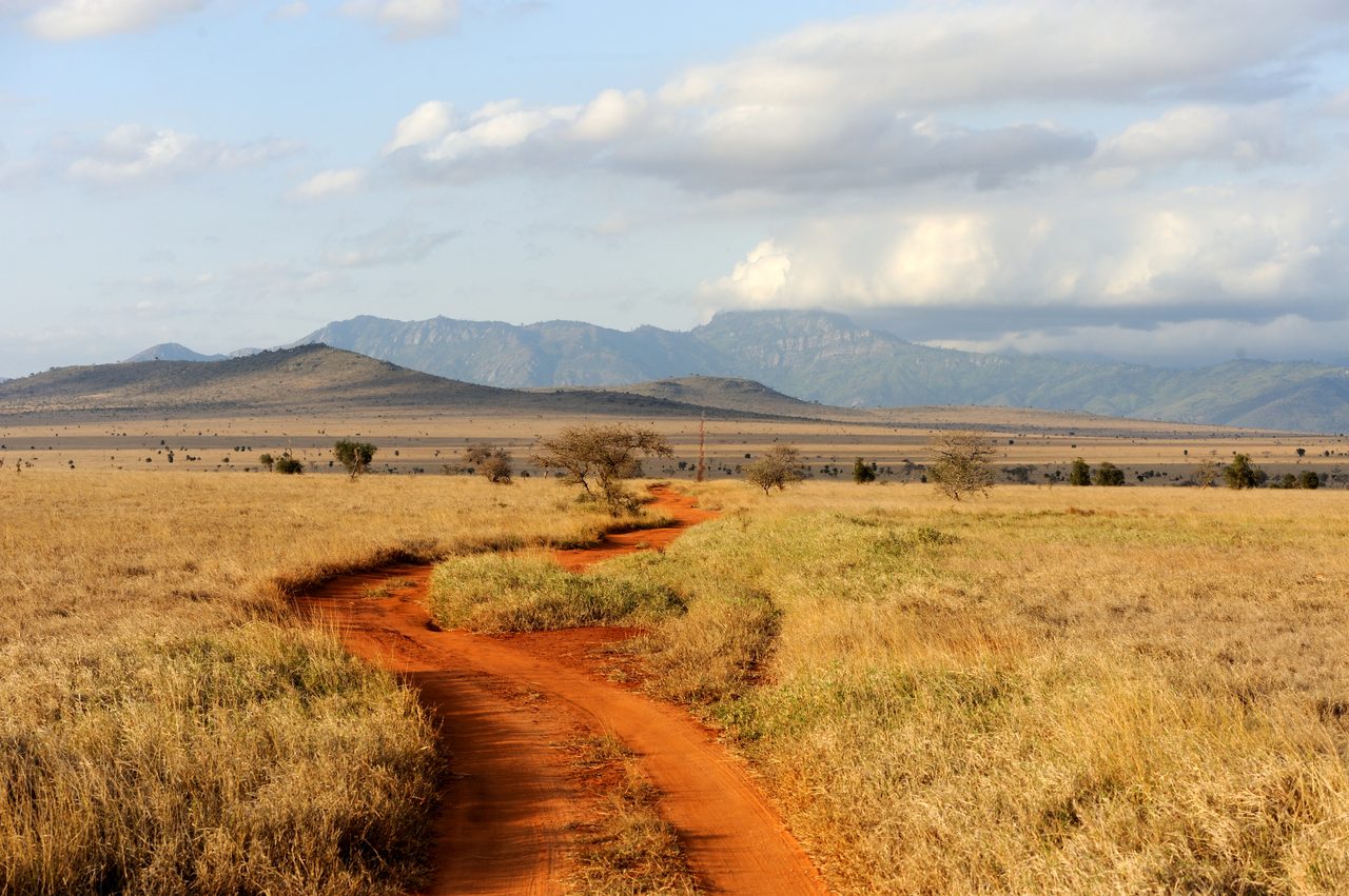 Mikumi Nationalpark – weite Ebenen