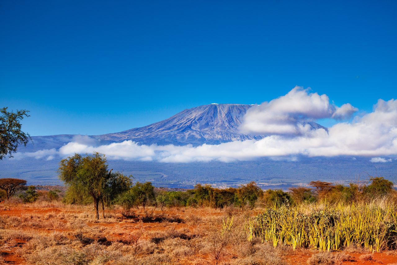 Kilimanjaro Nationalpark – weite Landschaft